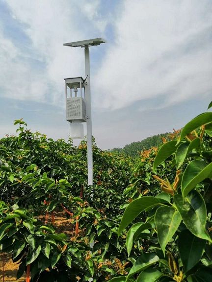 国产精品亚洲AV蜜桃太阳能风吸式杀虫灯
